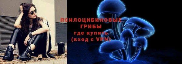apvp Верхний Тагил