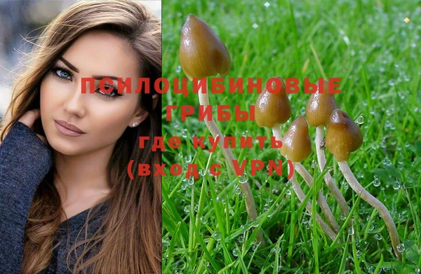 ешки Одинцово